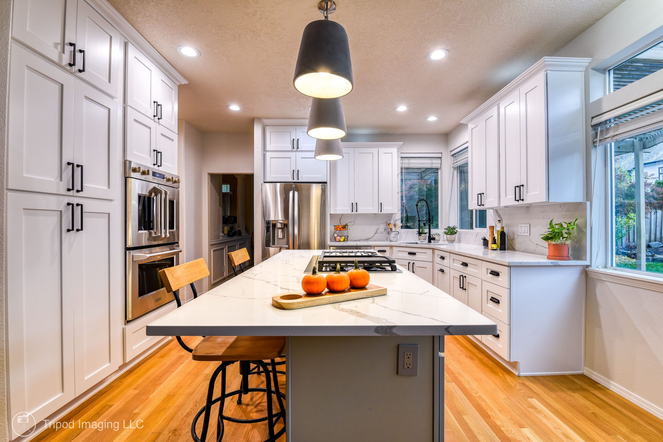 Modern Kitchen Remodel