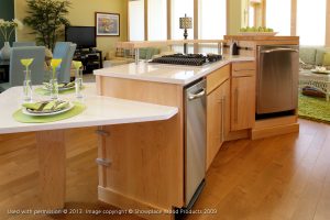 Contemporary Kitchen Cabinet Renovation