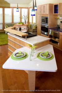 Custom Contemporary Kitchen Design