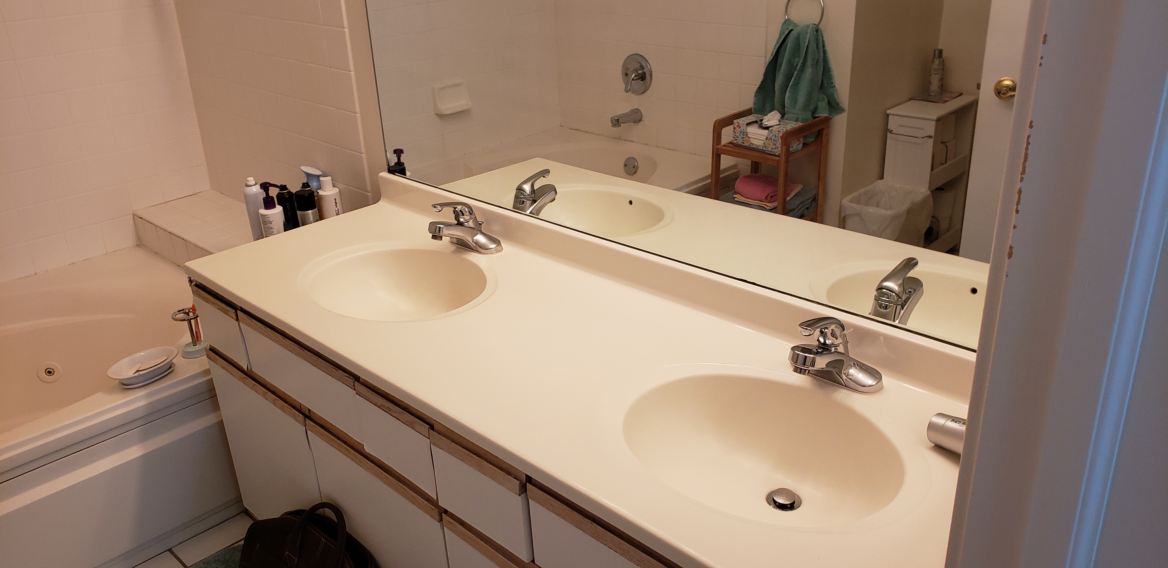 Northeast Suburban Chicagoland - 20190408_114941.jpg